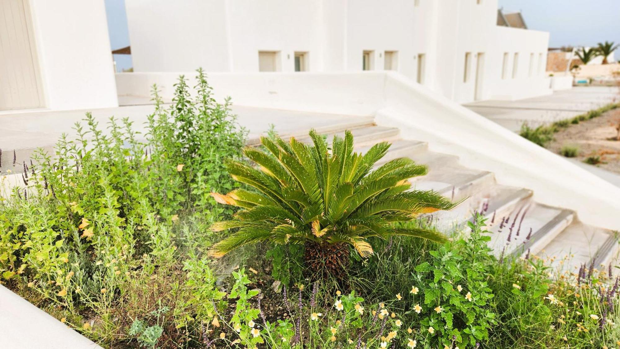 Hayal Suites Santorini Emporio  Exterior photo